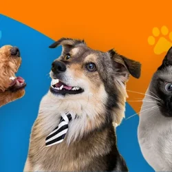 Banner_Centro-Mascota_V2.webp